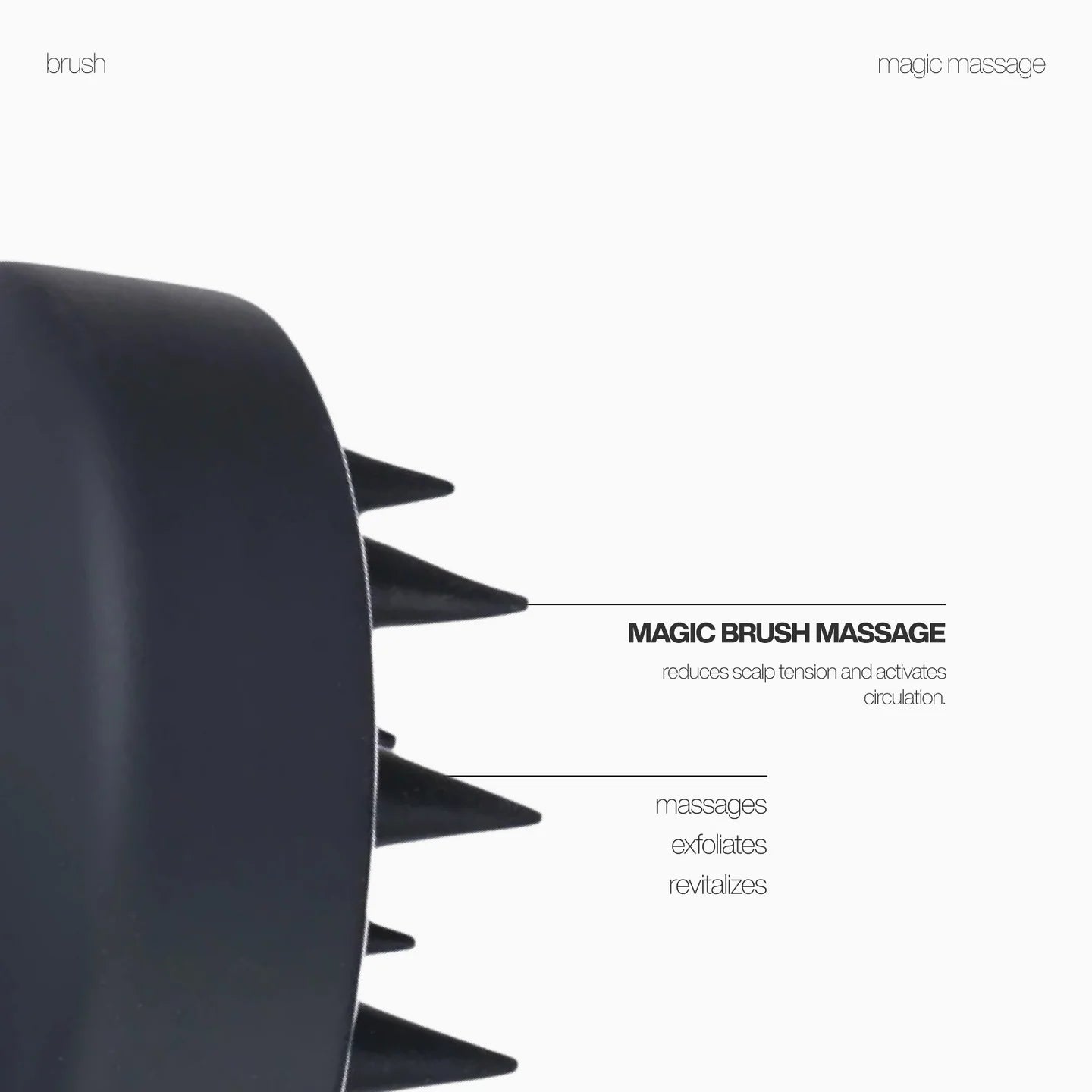 Magic Brush Massage - Moncho Moreno