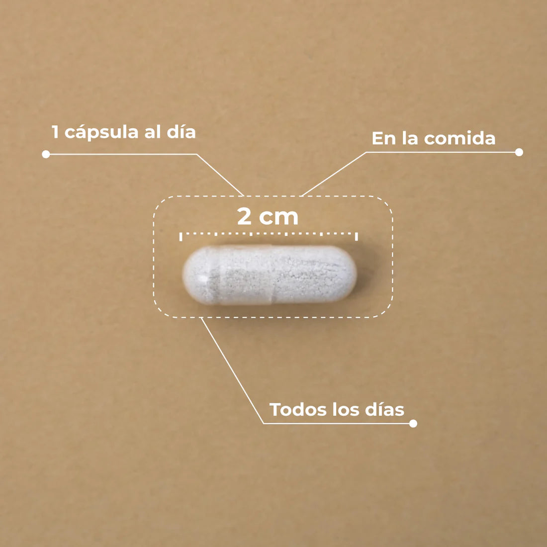 Hair & Nail Booster 60 cápsulas - Kobho