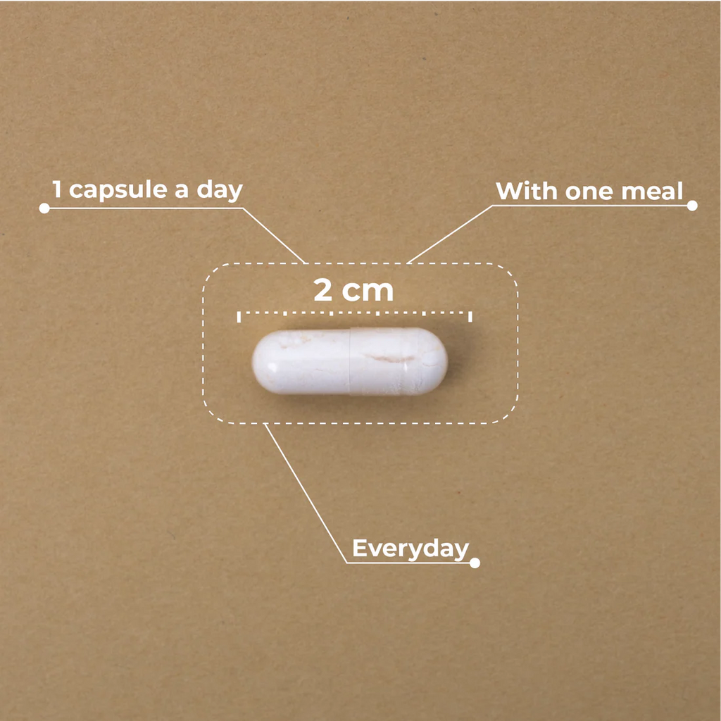 Liposomal VIT. C 60 cápsulas - Kobho