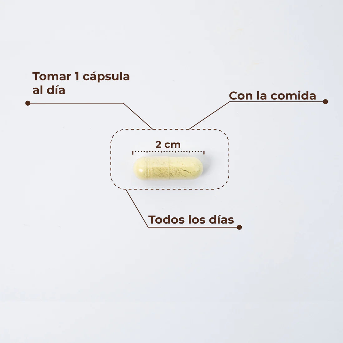 Trans Resveratrol + Quercetin 60 cápsulas - Kobho