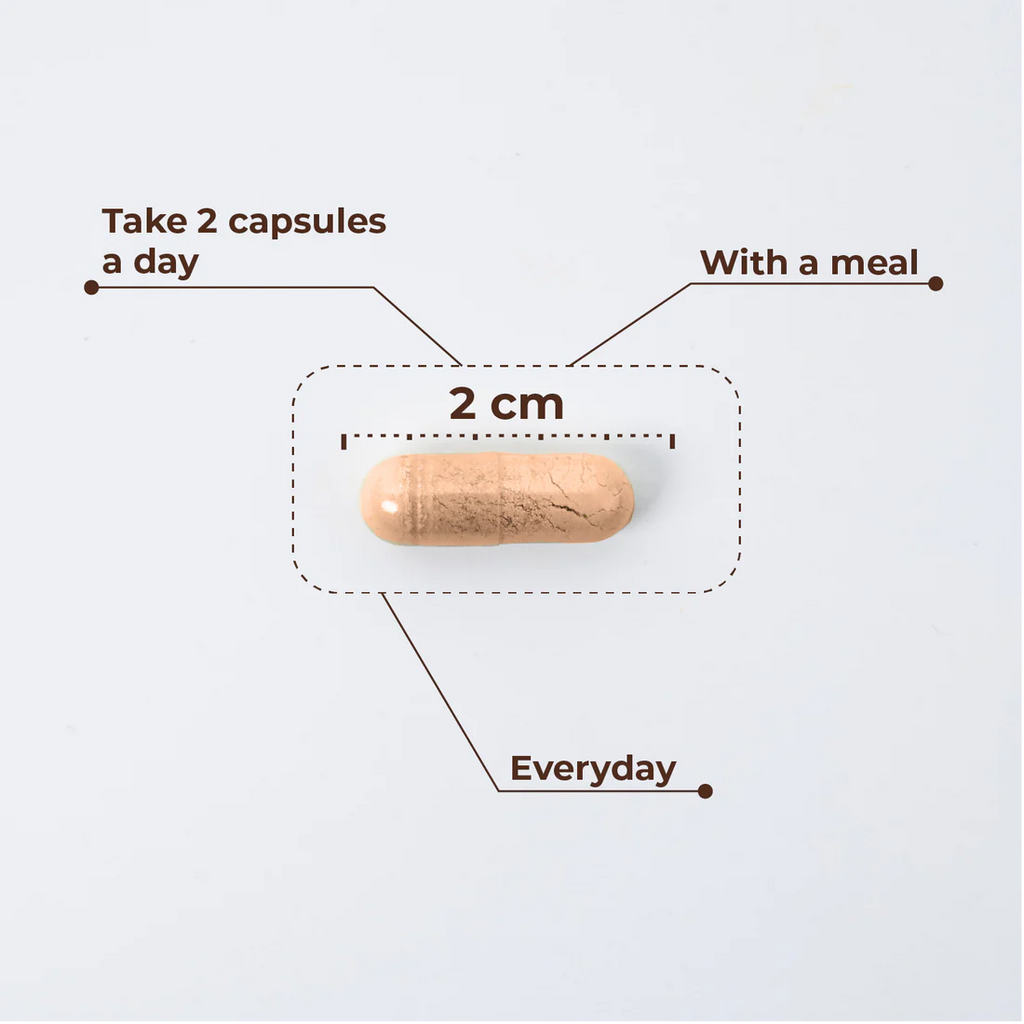 W-Balance 60 cápsulas - Kobho